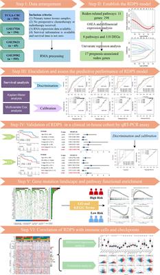 Derivation and Clinical Validation of a Redox-Driven Prognostic Signature for Colorectal Cancer